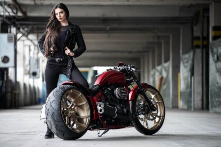 Мотоциклы harley davidson thunderbike