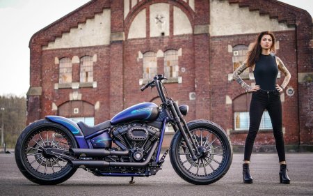 Харлей дэвидсон мотоцикл