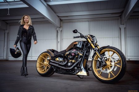 Мотоцикл harley davidson breakout