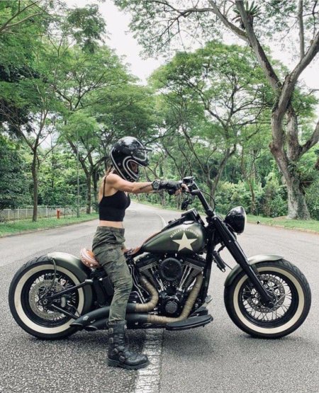 Harley davidson softail slim s