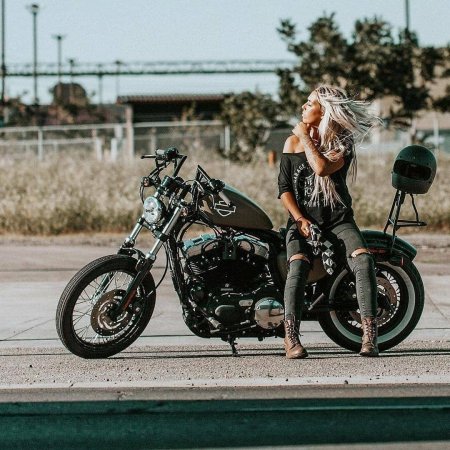 Harley davidson chopper