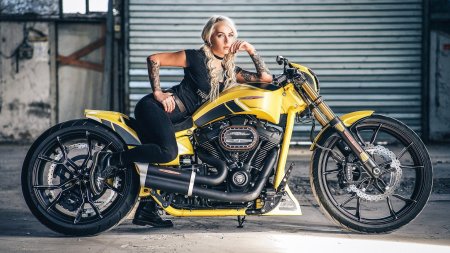 Харлей дэвидсон thunderbike