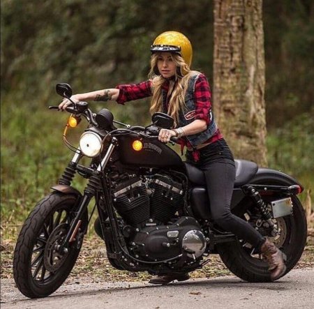 Harley davidson sportster girl