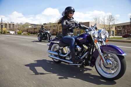 Harley davidson softail deluxe