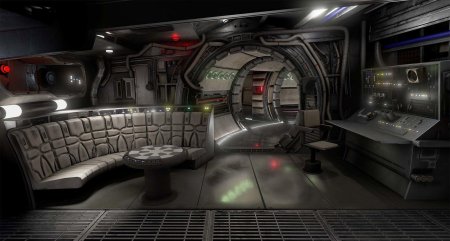 Тысячелетний сокол интерьер