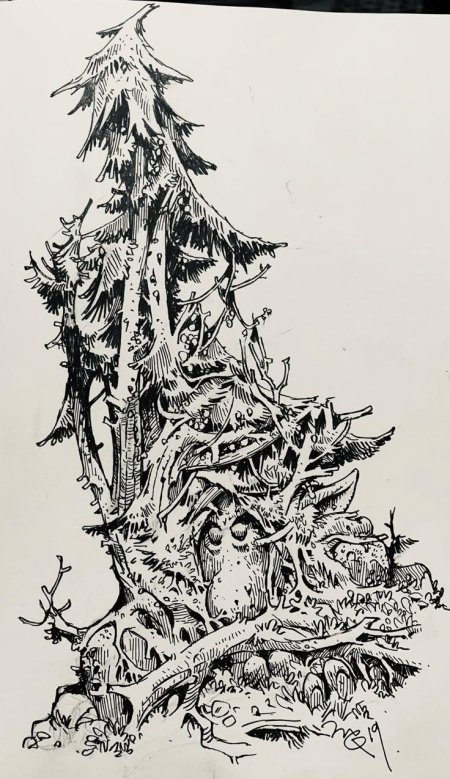 Иллюстрации графика