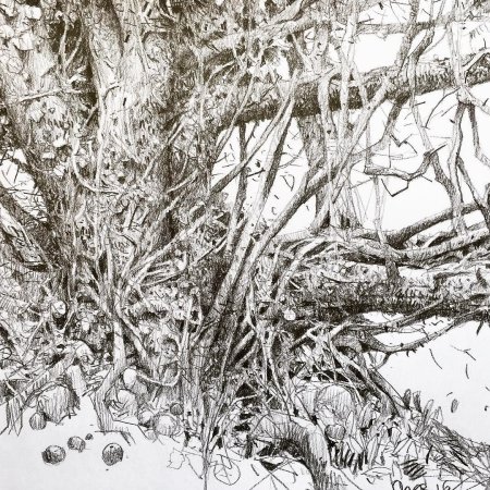 Природа в графике