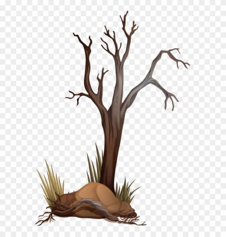 Сухое дерево