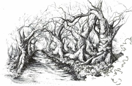 Тропинка рисунок карандашом