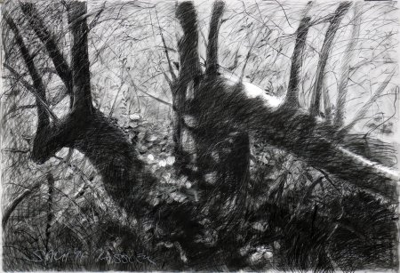 Графика пейзаж карандашом