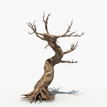 Сухие деревья