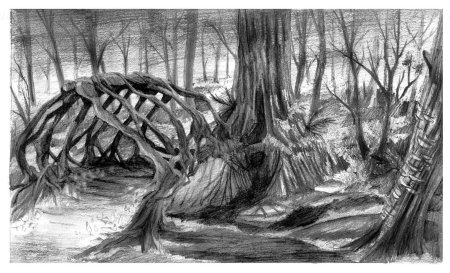 Лес карандашом