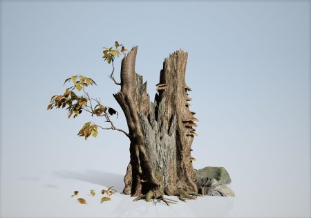 Сломанное дерево