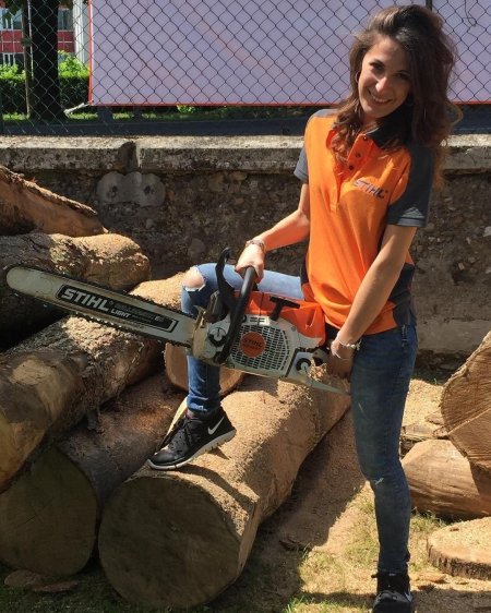 Бензопила штиль