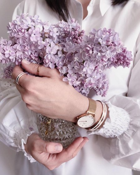 Сирень эстетика