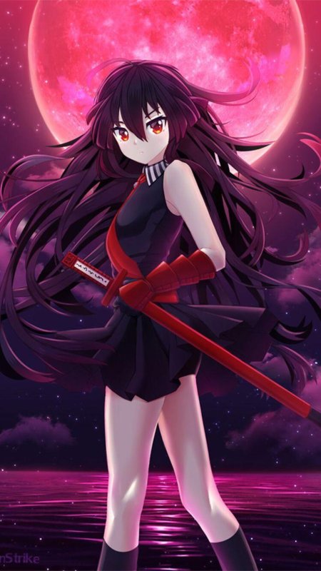 Убийцы акаме