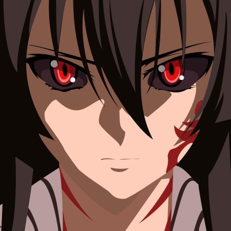 Akame ga kill
