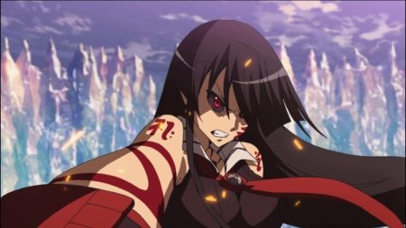 Akame ga kill