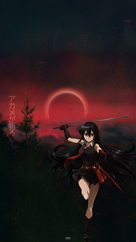 Убийца акаме арты