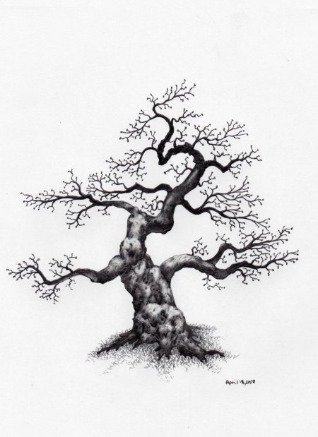 Эскиз дерева