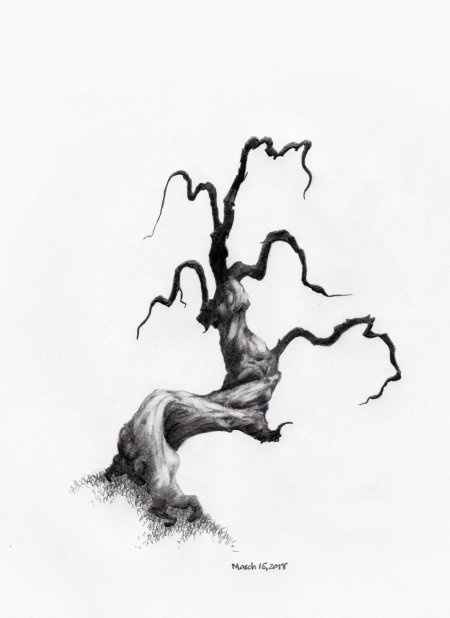 Дерево скетч