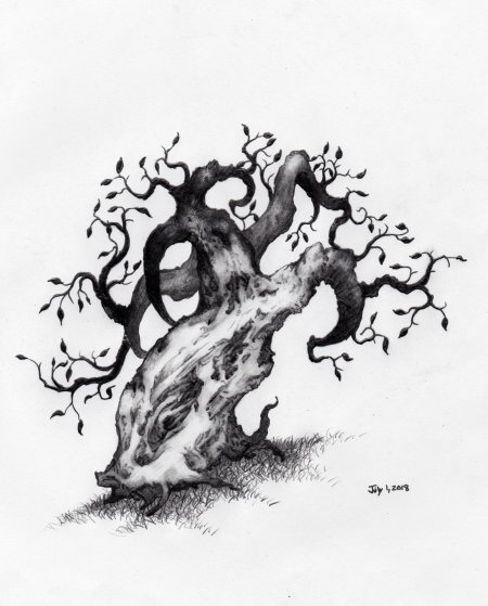 Рисунки дерева