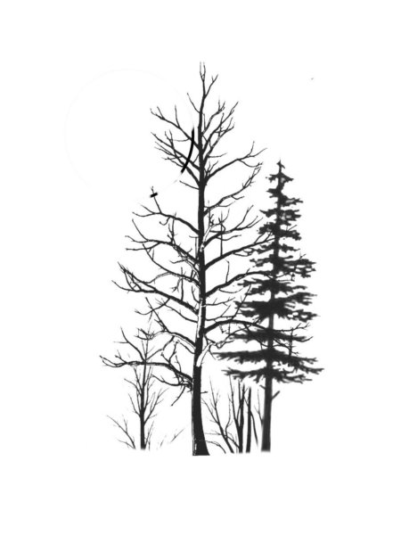 Тату сосна эскизы