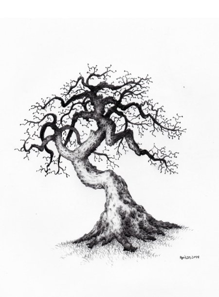 Дерево скетч