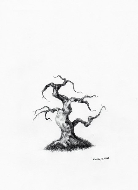 Дерево эскиз