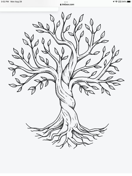 Дерево контурный рисунок