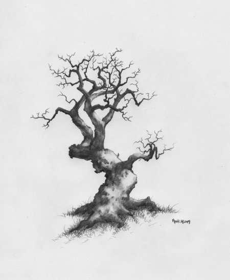 Дерево эскиз