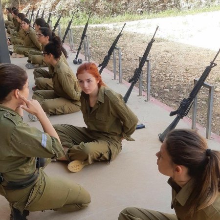 Даниэлла кертес цахал