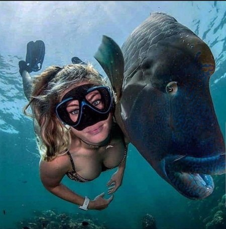 Шеннон лия майерс