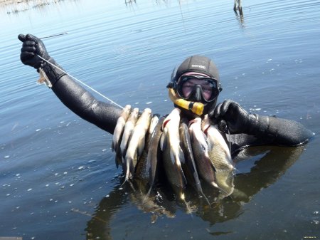 Подводная охота