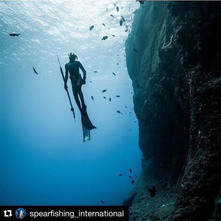 Фридайвинг в дахабе