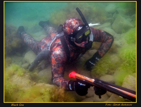 Подводная охота в норвегии