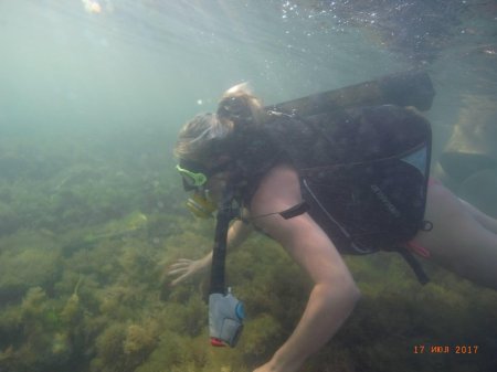 Дайвинг оленевка тарханкут