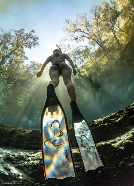 Дайвер даун