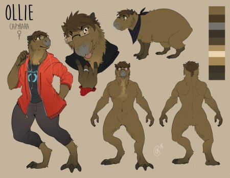 Фури капибара