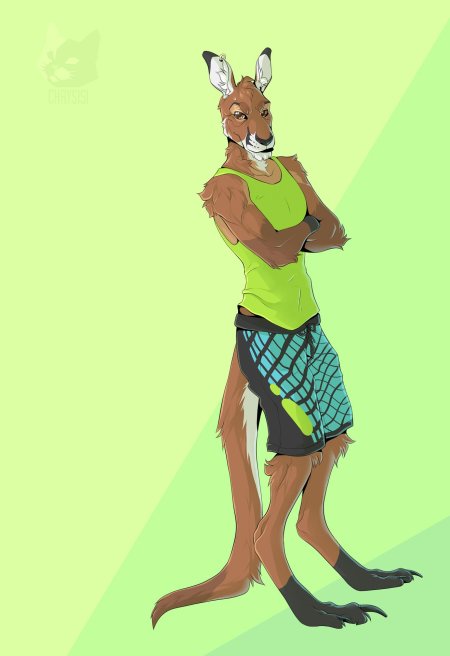 Кенгуру референс