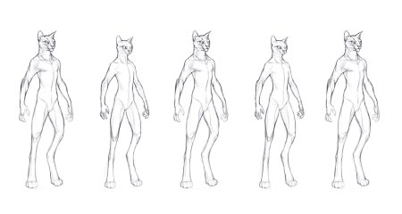 Фурри анатомия