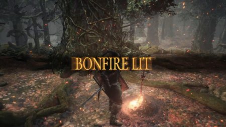 Bonfire dark souls