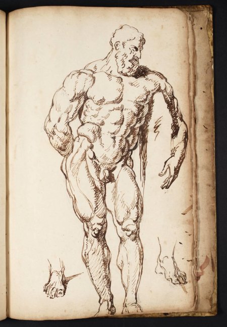 Анатомические наброски леонардо да винчи