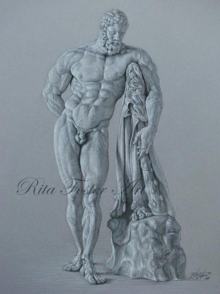 Геркулес фарнезский анатомия