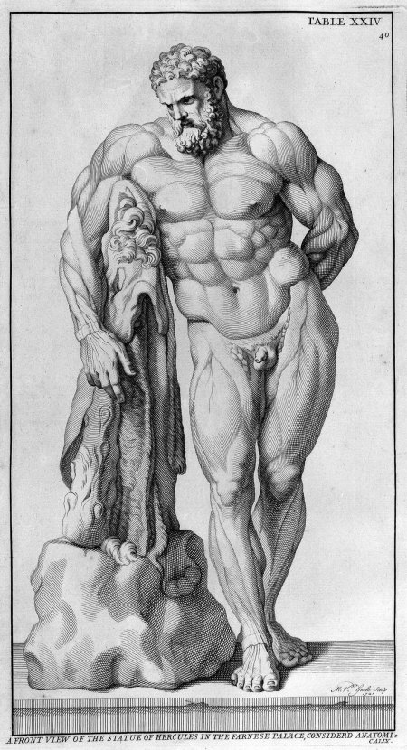 Геракл академический рисунок
