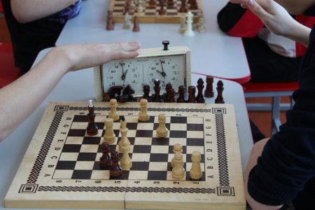 Шахматные турниры