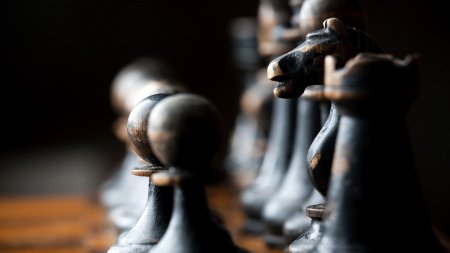 Шахматные фигуры