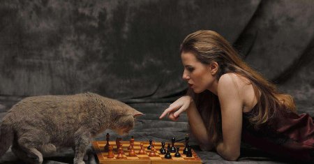 Сесиль хаусерно шахматы