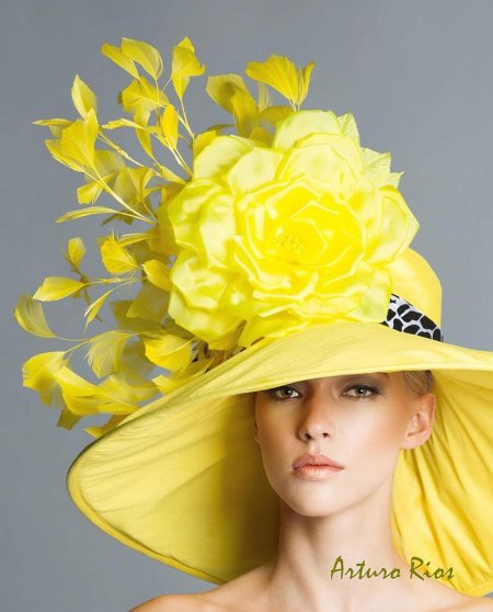 Желтая шляпа