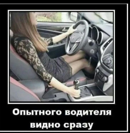 Шутки про водителей
